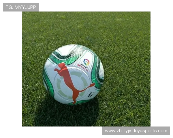 西甲联赛的电视转播平台及频道选择